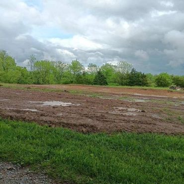 Clearing your land