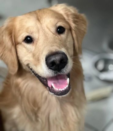 “Southwest Ranches”, “Davie”, “Weston”, “Cooper City”, “Pembroke Pines”, “Plantation”, “Hollywood”