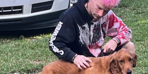 "Drop in visits at your home", Dog sitting”, Dog day care”, “Puppy sitting”, “Dog walking”, "Davie"