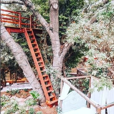 Tree house 30 feet in the air. Topanga Tree house