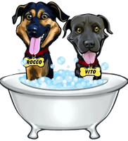 Self Serve Pet Wash