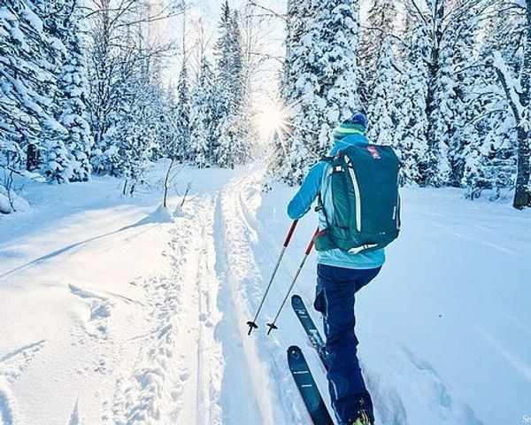 Person skiing through a snowy forest trail.