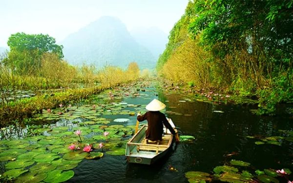 Person rowing boat through lotus-covered river.
