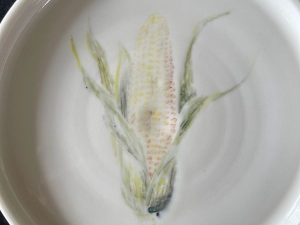 a beautiful porcelain plate