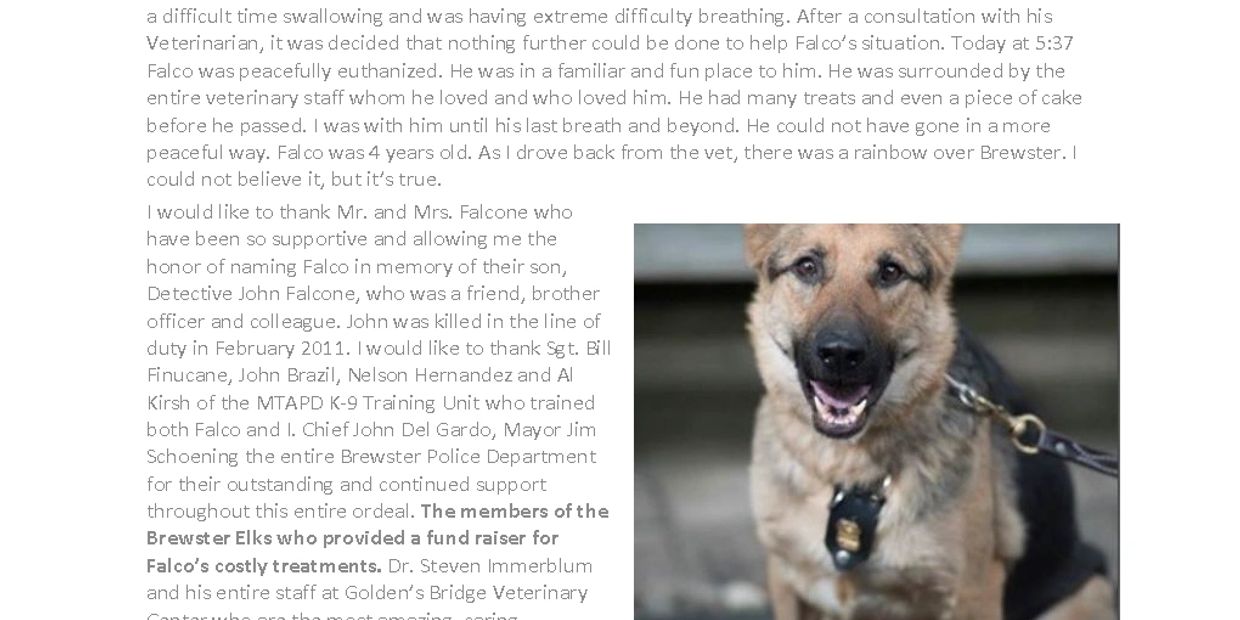 We Remember First Reponder K9 Falco