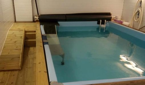 Dog hydrotherapy pool