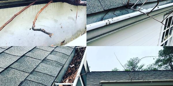 Never let your gutter end up like this!!! Get them cleaned today!!!!!