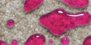 carpet protection, scotchguard, teflon protection, upholstery protection