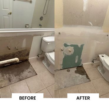 Bathroom wall repair removing mold and damaged drywall.