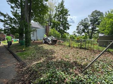 Gared of Eden Lawn care