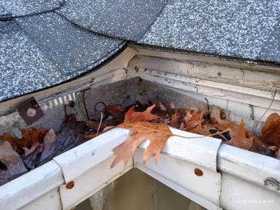 Gutter Cleaning Services in Richmond, VA.