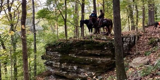 High Knob Campground