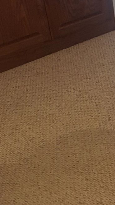 When you use the best carpet cleaners you can see the difference.