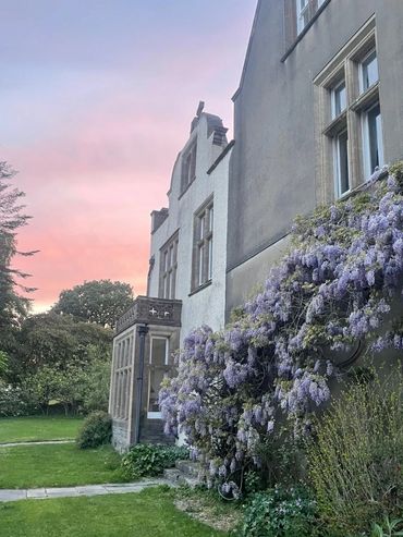 Elegant building with blooming purple wisteria at sunset.