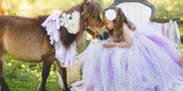 Pony Party