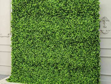 Image shows greenery backdrop available for rent in midland texas