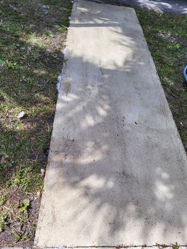 Walkway before pressure washing