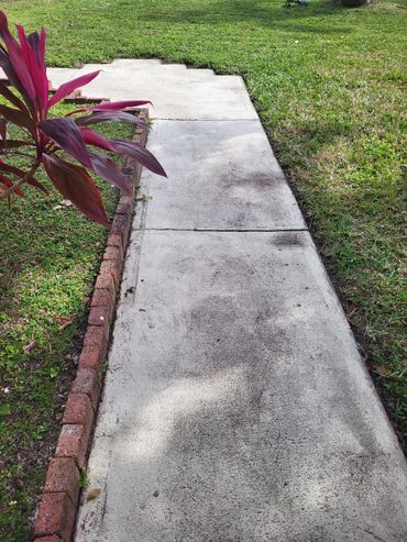 walkway to house before pressure washing services