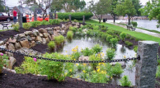 Pond in landscaped retention area