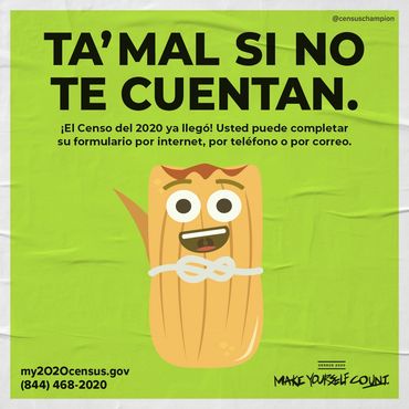 City of Chicago Census