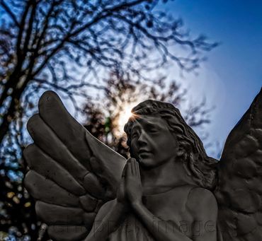 Praying Cemetery Angel Statuary 