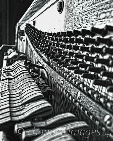 hammers and strings reveled on discarded piano, Jackson Training School Concord, NC