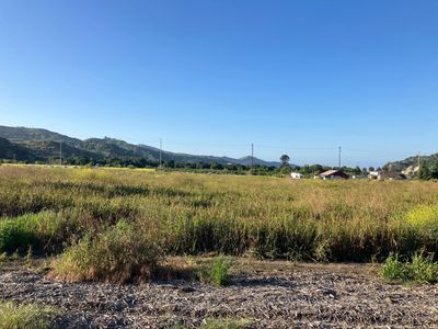 Open field with tall grass under a clear blue sky and distant hills.