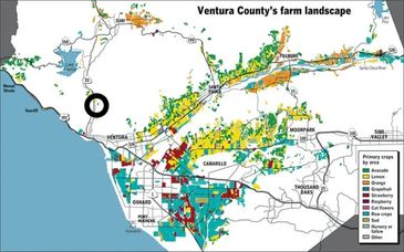 Map showing Ventura County's diverse farm crops and locations.