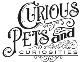 Curious Pets and Curiosities