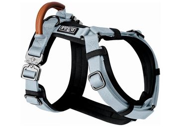 Roam Dog Harness