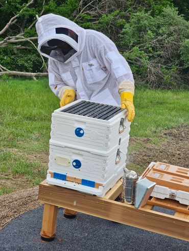 We are experienced beekeepers who love saving bee swarms in the Kansas City Area.