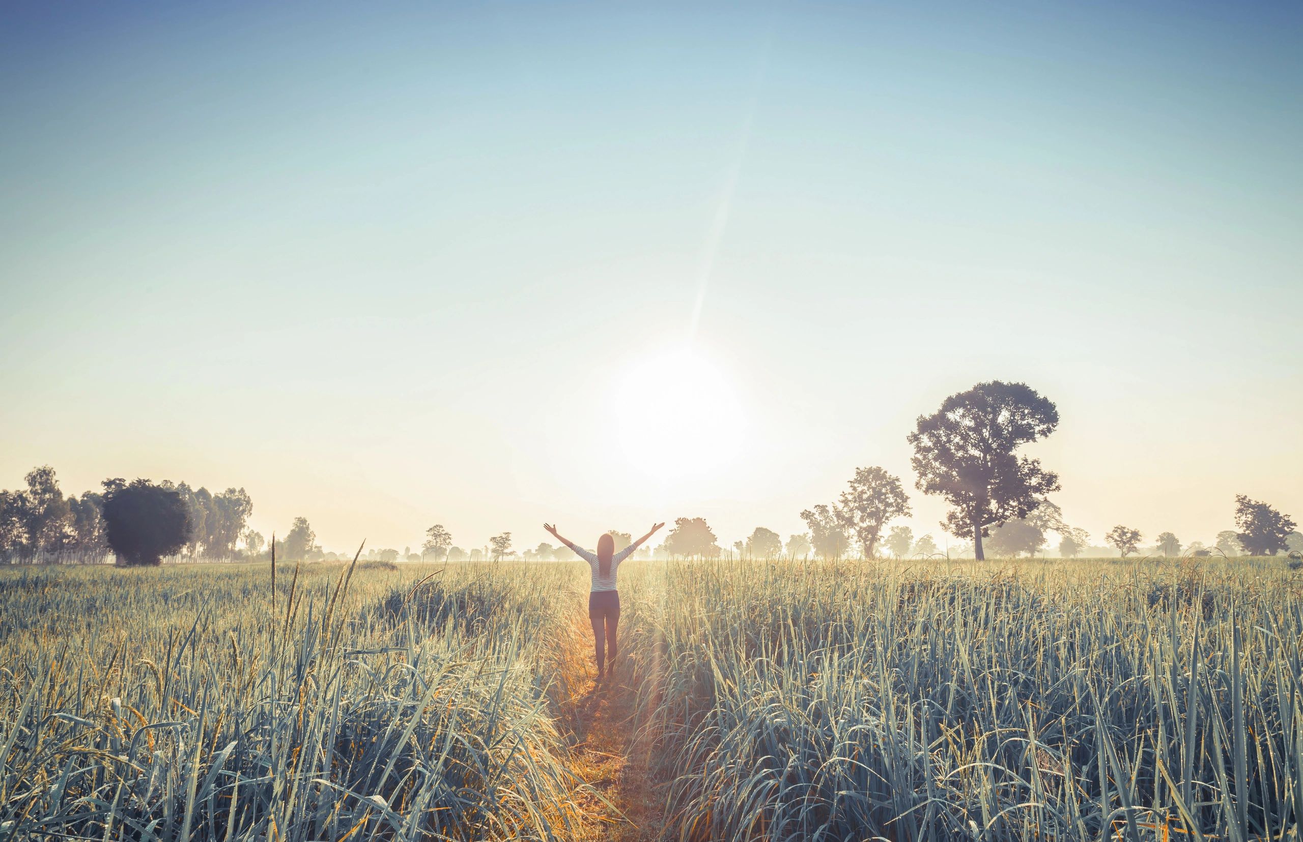 Person with arms raised in a sunlit field at sunrise.