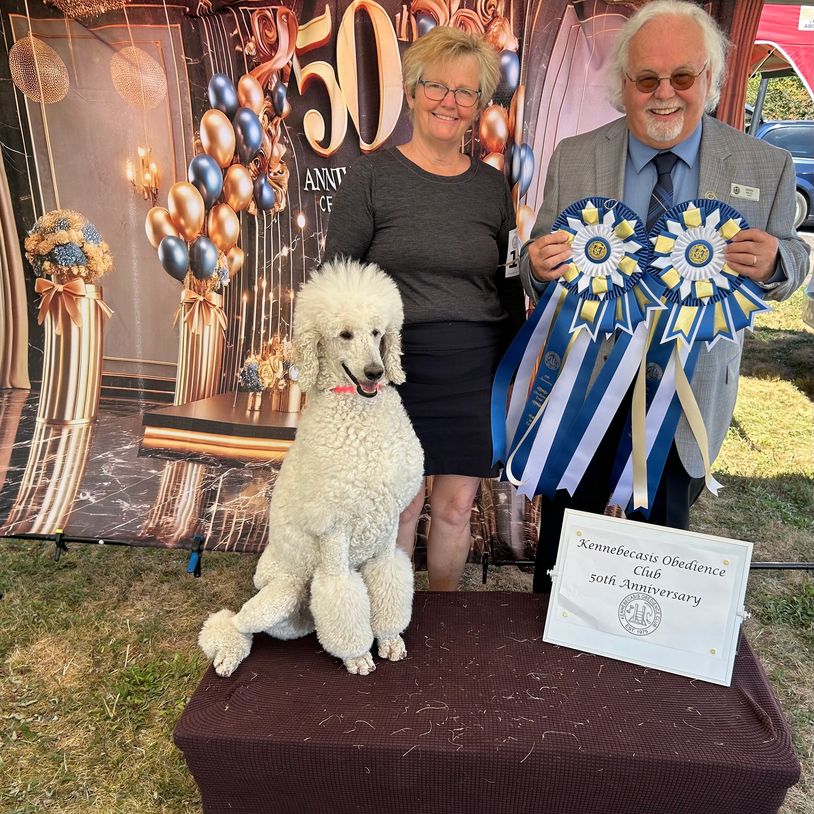 Hannelore was in the right place at the right time in the summer of 2025. Hannelore won 2 HIgh in T