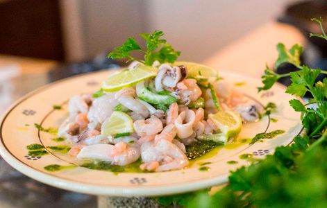 MARINATED RAW SQUIDS  just puglia fctory