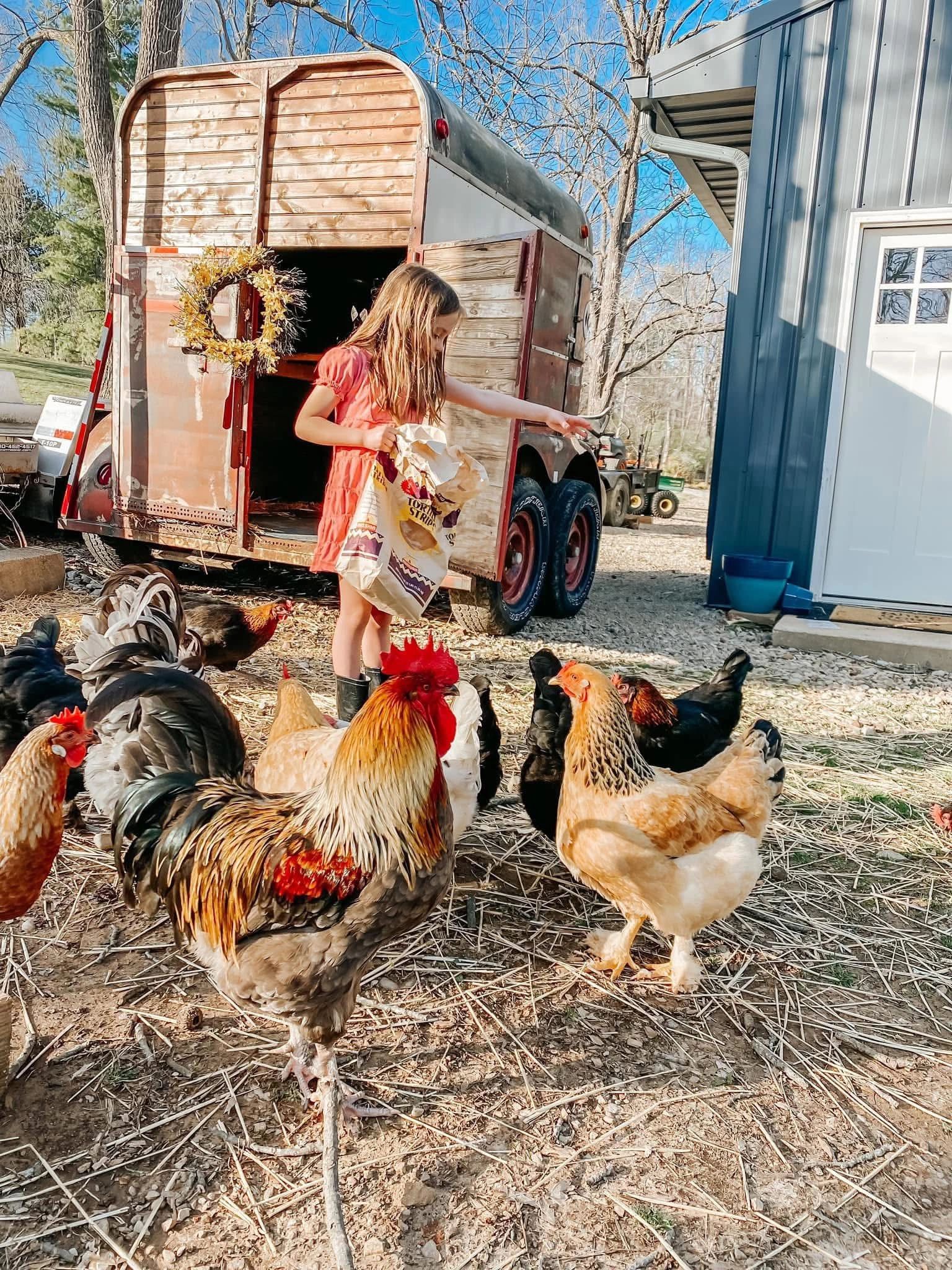 A girl feeds chickens outside a rustic trailer on a sunny day.