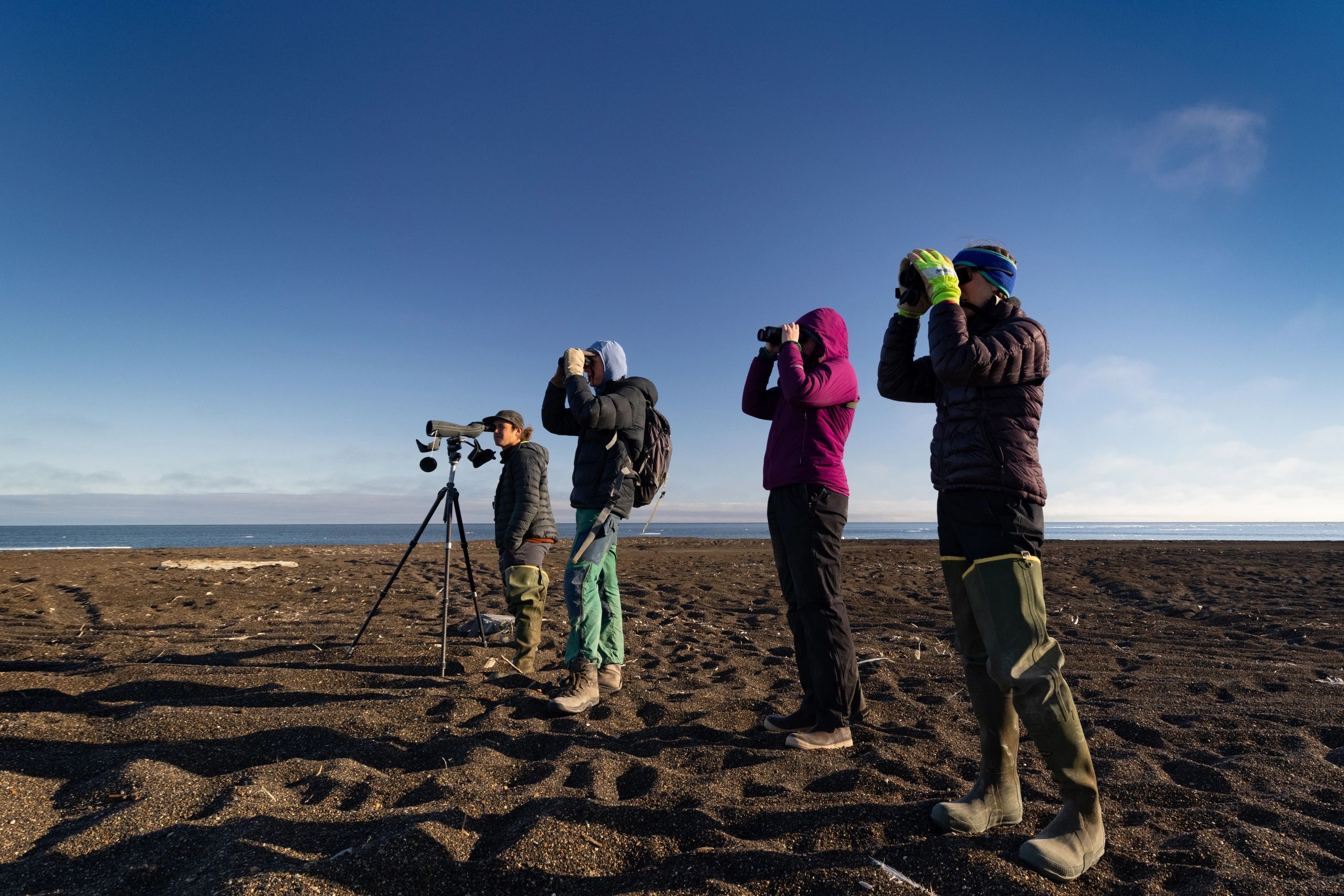Birders looking at Arctic seabirds via Alaska FWS