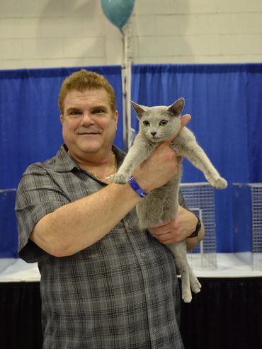 TICA Allbreed Judge showing off a handsome Russian Blue cat