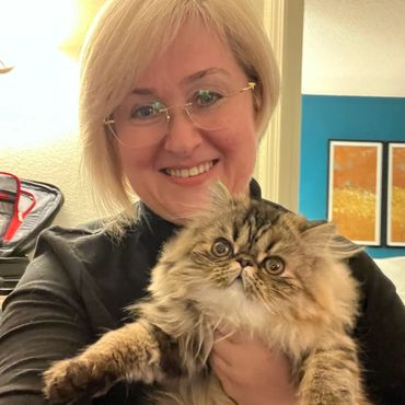 Who can resist the face of this adorable brown tabby Persian kitten?