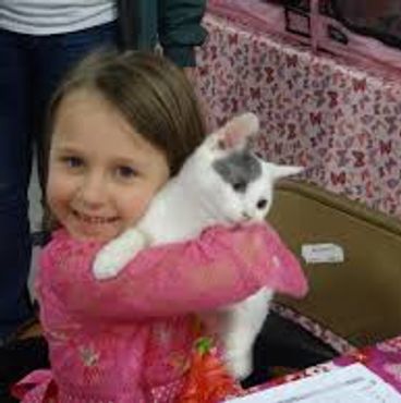 Some cats seem to have a special bond with children!