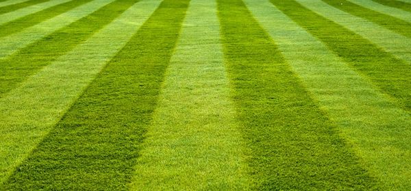 lawn cutting trimming garden services