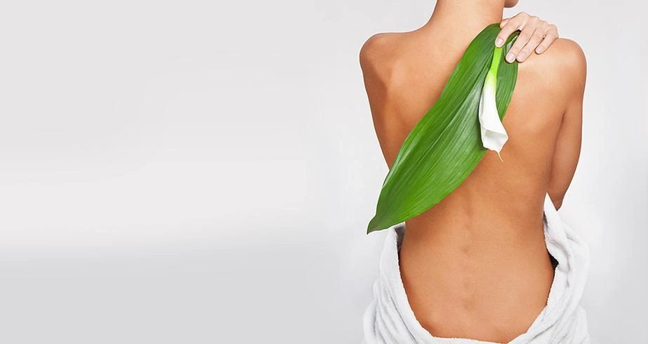 Woman holding a plant on her back