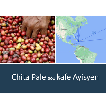 Chita Pale sou Kafe Ayisyen ke nou te 
Òganize nan 20 desanm 2020.