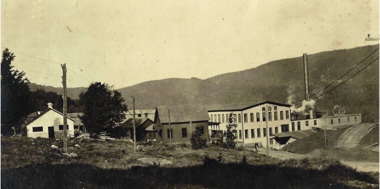 Old industrial buildings with smoke stacks and surrounding nature.