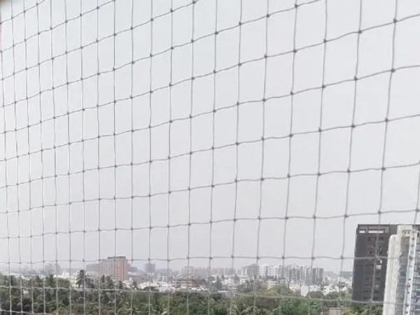 anti-bird net