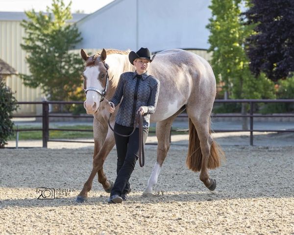 Lopin' Down The Rail Fitness Equestrian Fitness Trainer Fitness for Horse Riders APHA Showmanship