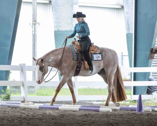 Lopin' Down The Rail Fitness Equestrian Fitness Trainer Fitness for Horse Riders APHA Trail WSQHA