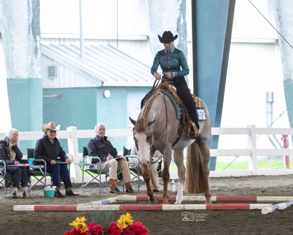 Lopin' Down The Rail Fitness Equestrian Fitness Trainer Fitness for Horse Riders APHA Trail WSQHA