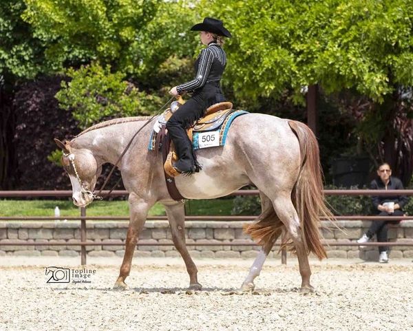 Lopin' Down The Rail Fitness Equestrian Fitness Trainer Fitness for Horse Riders APHA Horsemanship
