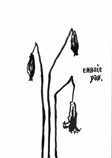 Black ink drawing of three drooping flowers with 'essai pas' text.