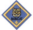 Bobcat patch.  The patch is blue with the head of a bobcat above its name and a fleur de Lis.